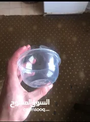  2 موجود كاسات بلاستيك كبير وصغير موجود ألف حبة من صغير 950 حبة من كبير مطلوب فيهم 55