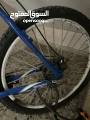  11 كل المعلومات مكتوبه تحت