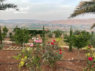  9 ارض للبيع في النصارية