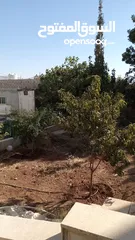 5 فيلا للبيع في ام الدنانير على شارعين  طابقين