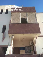  29 قصيب أخضر واصفر لتزيين الحدائق والمنتزهات والجلسات الخارجيه والاطلالات والمشاتل