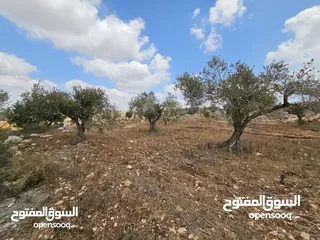  6 فرصة استثمارية لا تعوض . ارض مميزة للبيع في بيت قاد