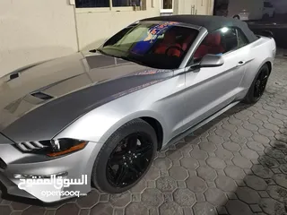  1 فورد موستنغ 2019