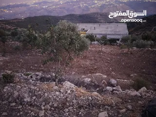  15 ارض للبيع 4300م على القوشان وعلى الواقع 12دونم متواجد بيت مساحة 380 متر طابقين +خزان يتسع50 متر