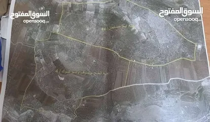  2 ارض مزروعة زيتون للبيع