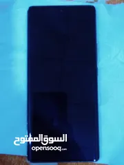  2 ابيع او مراوس حسب رغبه