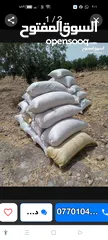  1 تبن قمح السنه