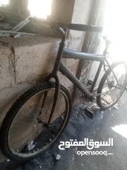  1 بسكليت كوشوك جديد  حالة وكالة لا يوجد اتيوب خلفي ودو تغير اتيوبات