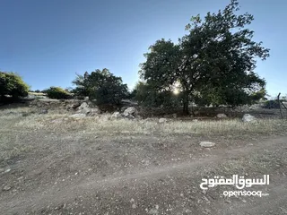  1 ارض للبيع أجمل مناطق وادي السير موقع هادئ ومطل  ممتاز للبناء أو الاستثمار من المالك مباشرة