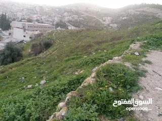  7 فرز جديد أجمل ارض في عجلون مرتفعه على جبل ومطله على جبال عجلون لغايات السكن / فلل / اسكانات