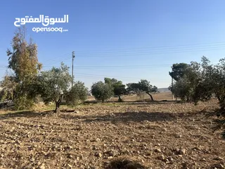  1 بسم الله الرحمن الرحيم  ارض للبيع في صروت مساحه 3531م3 جميع الخدمات ثاني قطعه عن شارع الرئيسي