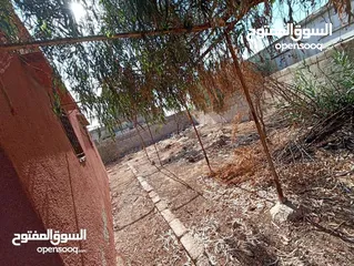  3 بيت مستقل للبيع في الهاشميه حي الفيحاء