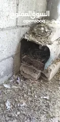  16 خم كامل للبيع 3 احجام ما شاء الله اربد بيت راس قريب الاذاعه