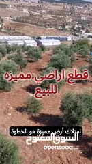  6 اراضي مميزه للبيع