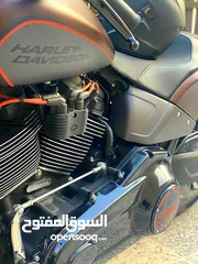  15 Harley Davidson FXDR 2019 للبيع او البدل