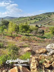  5 ارض للبيع في الأردن - عجلون