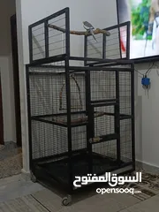  9 قفص  ببغاء  كاسكو أو مكاوي تفصيل متحرك بعجال  حجم كبير وثقيل وشي مرتب