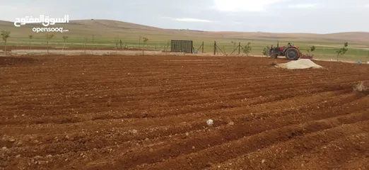  10 مزرعه زيتون منطقه قعفور