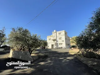  1 ارض للبيع السلط بسعر مغري جدا