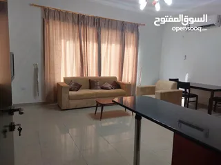  13 1bhk fully furnished