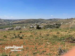  8 ( فرصة العُمر ) أجمل قطعة في منطقة ام رمانة في أجمل الاحياء السكنية في المنطقة ( منطقة قصور وفلل )