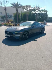  10 mustang 2019 perfect low milage