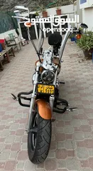  3 Harley Davidson Sportster Custom 1200