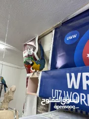  2 حبتين مكاو للبيع