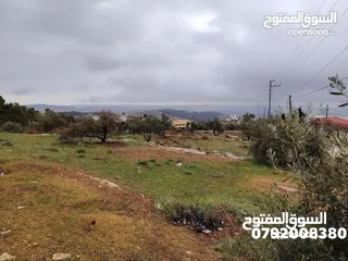  5 فرصه للشراء ارض  مشجره جاهزه ومخدومه شارع معبد خدمات كامله اطلالات بانورامية ب 18 الف كامل القطعه