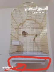  1 قفص ببغاء ذهبي