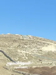  2 دونم أرض بيت تعمر واصل جميع الخدمات