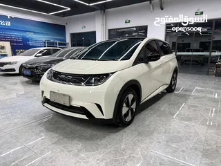  1 BYD Dolphin دولفين 2023 اعلى فئة