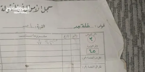  5 ارض للبيع بسعر مغري في ياصيد