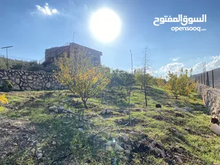  10 مزرعة للبيع في يرقا-السلط، إسكان المهندسين