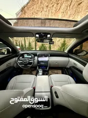  9 توسان هايبرد الحبه المميزه فل الفل إضافات N LIEN