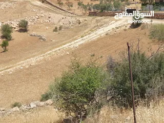  3 ارض زراعية على شارعين في صروت الصوان قرب الفلل و منتزه الامير هاشم قرب بيرين و شفا بدران بسعر مغري