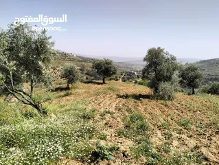  5 أرض مميزة جداً لعمل شاليه استثماري أو مزرعة خاصة أو مزرعة تجارية يوجد بها قناة ماء من المالك مباشرة