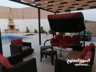  29 مزرعه اللؤلؤه