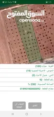  3 ارض في اربد  حواره على طريق ابو البصل