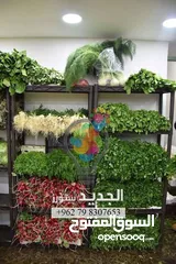  12 رفوف بلاستيك قوية ومتينة