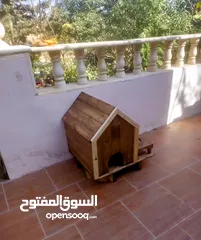  23 أكواخ خشبية وبيوت للحيوانات