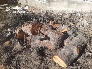  5 حطب مواقد جاهز ناشف للبيع بالكيلو وبالطن يوجد خدمة توصيل