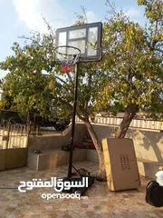  4 أفضل ستاند سلة زجاجي مقاس رائعه وقابل للتعديل فاخر اصلي نخب بحق الله