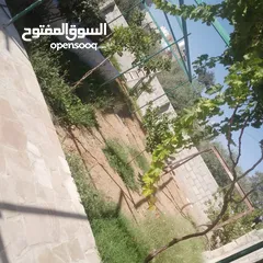  10 منزل للبيع قصر حلابات غربي قرب مصانع طيبه