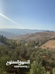  1 مزرعة للبيع