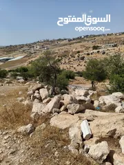  10 أرض طابو مطلة ومشجرة بسعر مغري