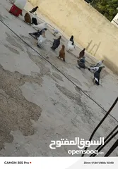  2 حمام للبيع