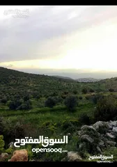  11 قطعة أرض مميزة في عجلون مطلة على جبال فلسطين مفروزة بقوشان مستقل من المالك مباشرة