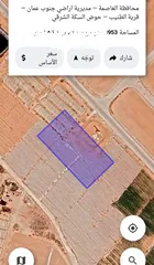  1 للبيع قطعه ارض 4 دونم الطنيب مميزه السكه الشرقي
