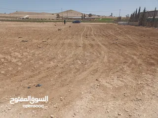  3 ارض للبيع في المفرق